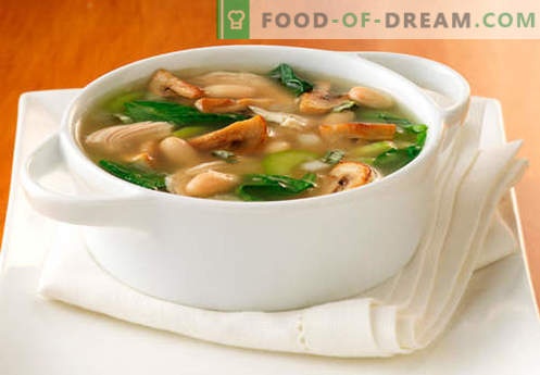 Grybų sriubos sriuba - geriausi receptai. Kaip tinkamai ir skaniai virti sriuba grybų sultinyje.