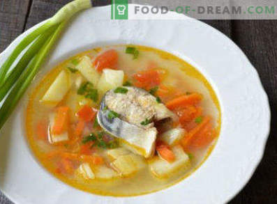 Šviežiai užšaldytos skumbrės sriuba, receptai su nuotraukomis. Kaip virėjas skumbrės sriuba