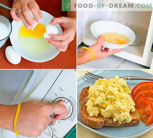 Omletas mikrobangų įrodytuose receptuose. Kaip tinkamai ir skaniai virti omletą mikrobangų krosnelėje.