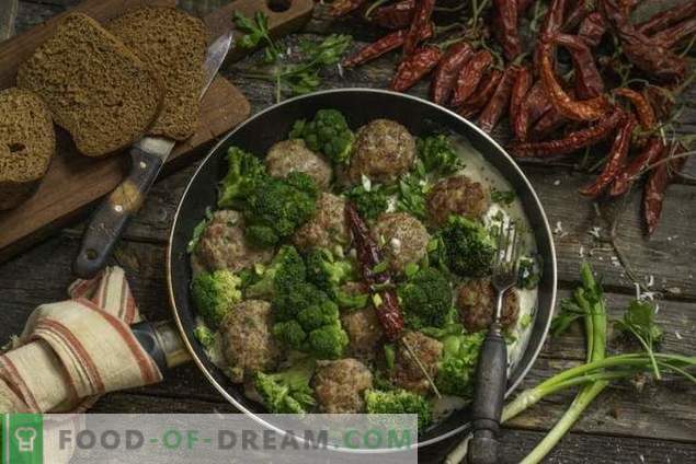Greito mėsos padažai su brokoliais bekamelio padaže