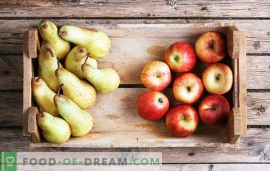 Kompozicija iš obuolių ir kriaušių žiemai: skonio komponentai. Mėgstamiausias obuolių ir kriaušių kompotas, skirtas žiemai receptams be sudėtingumo