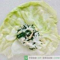 Cabbage rolls with spinach