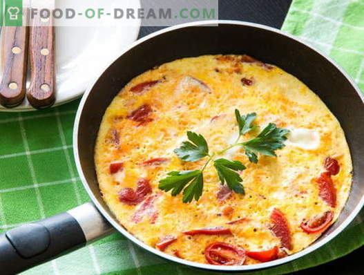 Omletas su pomidorais - patvirtinti receptai. Kaip virti ir padaryti omletą su pomidorais.