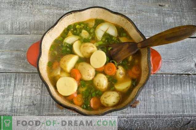 Vištienos guliašų sriuba su naujomis bulvėmis ir žaliais svogūnais