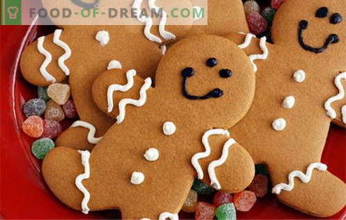Gingerbread cookies - geriausi receptai. Kaip paruošti meduolių slapukus.