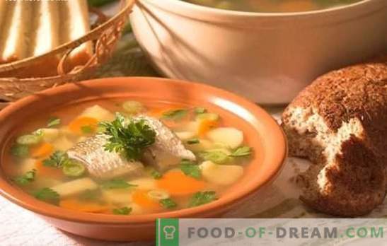 Perch žuvų sriuba - skanus sriuba namuose. Kaip paruošti ausį nuo ešerio: paslaptys, receptai, patarimai