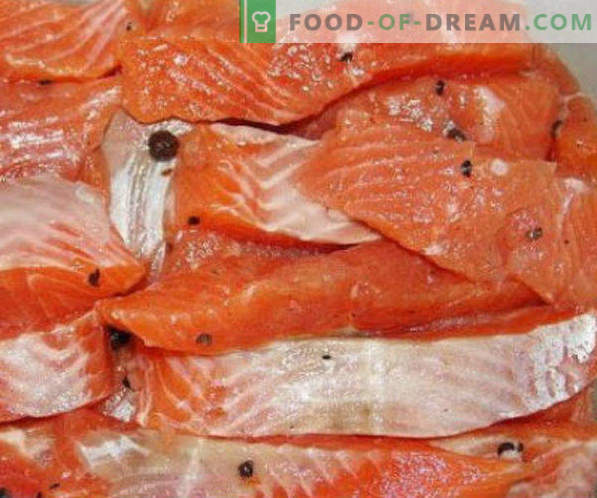 Raudonųjų žuvų sūdymas namuose receptai ir rekomendacijos