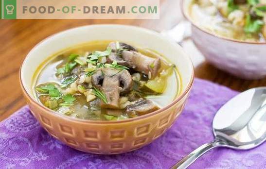 Grybų sriuba su perlų miežiais yra gausus ir lengvai ruošiamas patiekalas. Originalūs grybų sriubos receptai su perlų miežiais