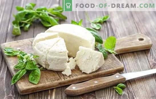 Rauginto pieno sūris yra natūralus pieno produktas. Sūrio gamybos iš jogurto variantai namuose