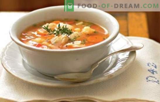 O ouvido com painço é simples, satisfatório e útil. Receitas deliciosa sopa de peixe com milho do rio e peixe do mar no fogão e no fogão lento