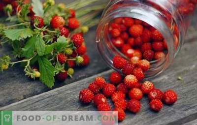 Maasikad, mida on talveks suhkruga hõõrutud, säilitatakse kuus kuud. Talvel maasikad koos suhkruga: kuidas seda õigesti teha?