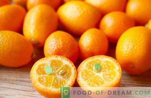 Kumquat - naudingos savybės ir naudojimas virimui. Receptai su kumquat.