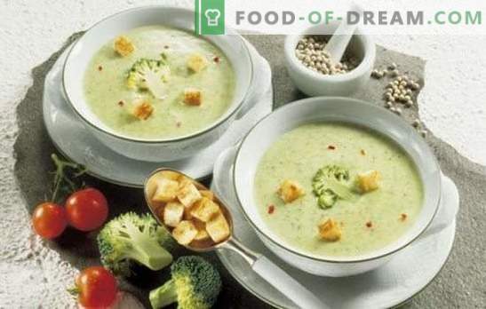 Kreminės grietinėlės sriubos: nepaprastai skanus švelnumas. Geresni autoriaus receptai, skirti paprastoms ir greito kremo kremo bulvėms