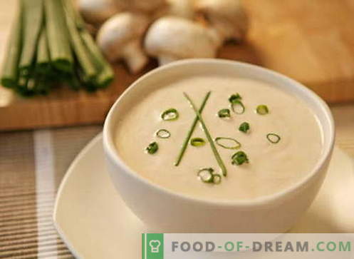 Grietinėlės sriuba - geriausi receptai. Kaip tinkamai ir virti grietinėlės sriuba.