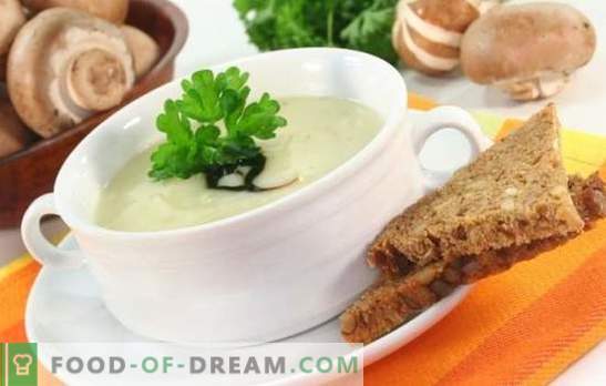 Grybų sriuba su lydytu sūriu - nepageidaujamai pamirštas patiekalas! Geriausi grybų sriubos su lydytu sūriu receptai