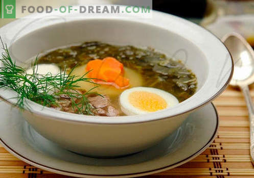 Sorrel Soup - įrodyta receptai. Kaip virėjas ir sriubos.