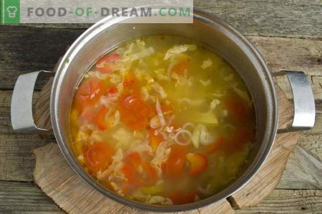Vasaros daržovių sriuba vištienos sultinyje