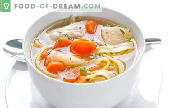 Vištienos makaronų sriuba - motinos sriuba. Kaip virti vištienos makaronų sriuba su grybais, mėsos ir daržovėmis