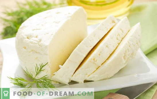 Geriausi naminių karvių pieno sūrio receptai. Karvės pieno sūris: pagrindinės naminių sūrių gamybos taisyklės
