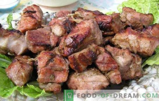 Marinatas kiaulienos kebabui su kefyru - konkursas! Marinato receptų rinkinys mėsai ant ugnies: marinatas kiaulienai su kefyru