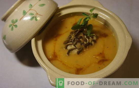 Austerių sriuba - geriausi autoriaus receptai. Grybų sriubos sriubos: su makaronais, sūriu, kiaušiniais, koldūnais, širdimis, grūdais, lęšiais