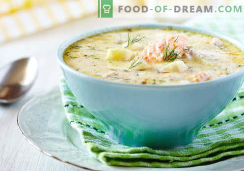 Grietinėlės sriuba - įrodyta receptai. Kaip tinkamai ir skaniai ruošti sriubą su grietine.