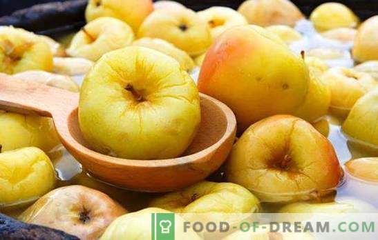 Nulupti obuoliai namuose - įtvirtinimas prasidėjo! Geriausi skrudintų obuolių receptai statinėse ir skardinėse