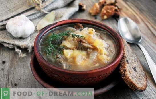 Gavėnų sriuba - pasninkui ir mitybai yra gera! Geriausi tradiciniai ir originalūs liesos mėsos sriubos receptai be mėsos ir gyvūnų riebalų