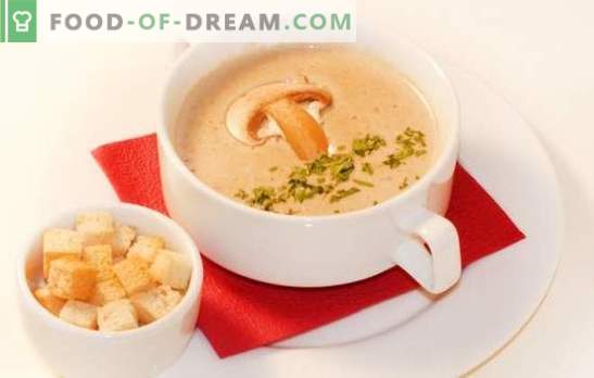 Grybų sriubos tyrė - subtilus mėgstamos patiekalo variantas. Geriausi grybų kremo sriubos receptai: grietinėlė, sūris, ryžiai, brendis, krevetės