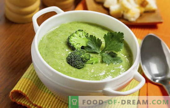 Brokolių grietinėlės sriuba: dietos ir pagrindinės mitybos receptai. Įvairūs grietinėlės ir sriubos receptai nuo paprastų iki brokolių komplekso