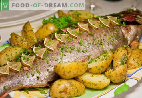 Ofengebackener Lachs sind die besten Rezepte. Wie man richtig und lecker Lachs kocht, der im Ofen gebacken wird.