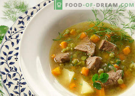 Sriubos su mėsa - geriausi receptai. Kaip tinkamai ir skaniai virti sriubas su mėsa.