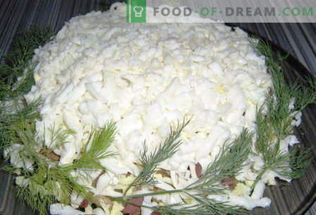 Baltos salotos - geriausi receptai. Kaip tinkamai ir skaniai virti baltos salotos.