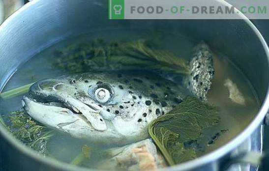 Žuvų galvų sriuba - receptai ir subtilybės. Žuvų sriubos su ryžiais, soros, daržovėmis