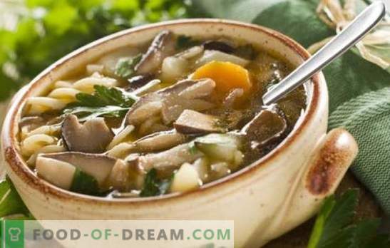 Grybų pievagrybių sriuba - lengva ir paprasta! Grybų grybų sriuba su vištiena, grikiais, makaronais ir sūriu receptai