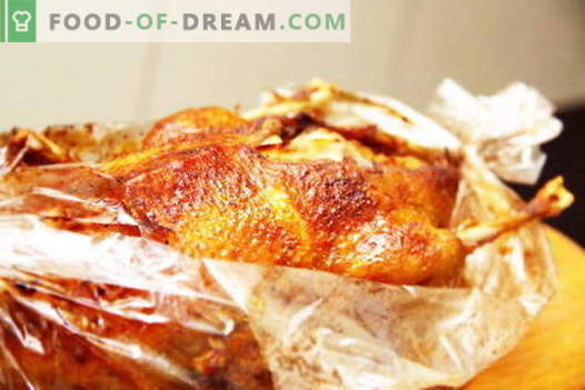 Duck v rokavu - najboljši recepti. Kako pravilno in okusno kuhati raco v rokav.