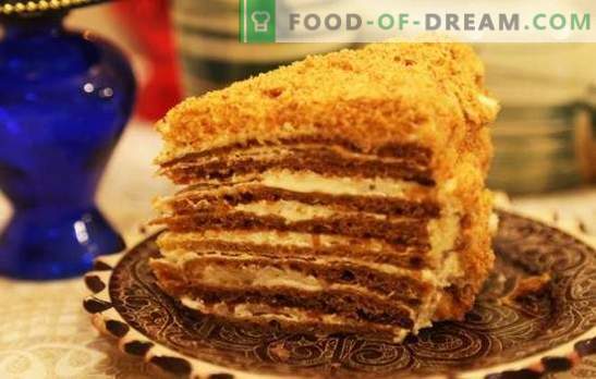 Medaus pyragas su grietine. Įvairios tešlos ir impregnavimo galimybės medaus tortui su grietine.