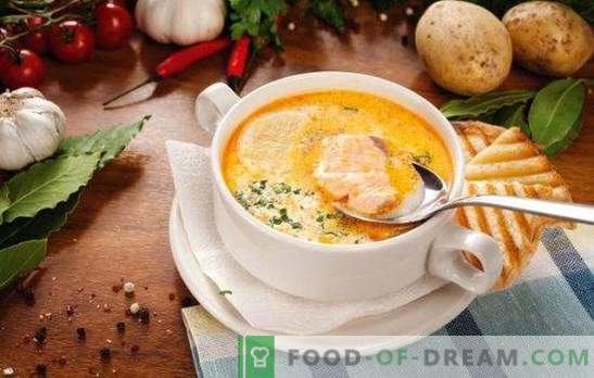 Žuvų sriuba - sriuba su unikaliu skoniu! Įvairių žuvų sriubos receptai su konservais, šviežiomis skerdenomis ir filė, kopūstais, pupelėmis