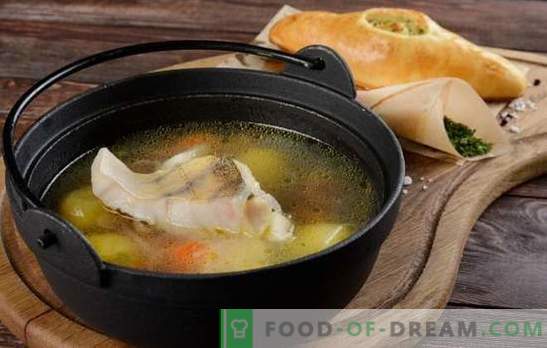 Tradicinė ir originali lydekos sriuba su bulvėmis, soromis, grybais. Kaip paruošti ešerių sriubą su žolelėmis ir degtine