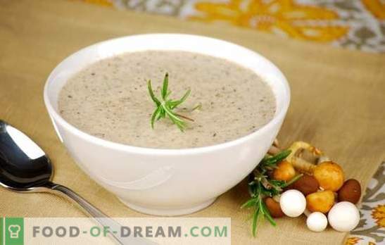 Grybų grietinėlės sriuba - populiarūs receptai. Kaip padaryti, kad grybų grietinėlės sriuba lėtoje viryklėje, su grietinėlė arba sūriu