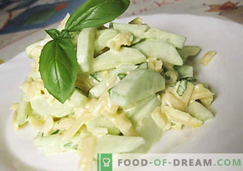Cucumber salad with cheese - the best recipes. How to properly and tasty to prepare a salad of cucumbers with cheese