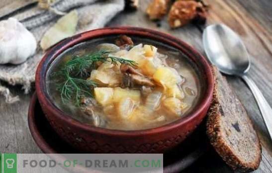 Raugintų kopūstų sriuba su grybais: tradicinė ir originali. Kopūstų sriubos paslaptys su grybais, grikiais, pupelėmis, perlų miežiais