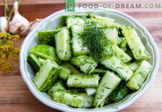 Agurkų salotos - geriausi receptai. Kaip tinkamai ir skaniai virti agurkų salotas.