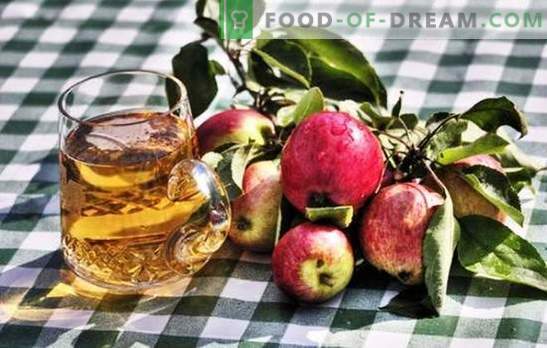 Naminių obuolių sidro gamyba - natūralus produktas! Kaip paruošti naminių obuolių sidro žaliavas