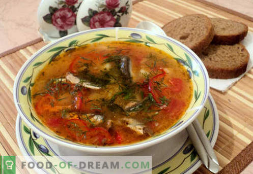 Pomidorų šprotų sriubos - patvirtinti receptai. Kaip tinkamai ir skaniai virti pomidorų šprotų sriuba.
