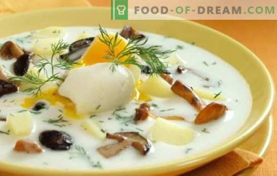 Grybų sriuba - tai paprasta ir naudinga! Lengviausias grybų sriubos receptai: su mėsa, grūdais, puodais, marinuotais ir hodgepodge