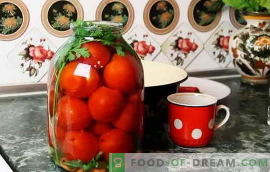 Geriausi pomidorų receptai pagal kaprono dangtį. Kaip paruošti pomidorus pagal kaproną: patarimai patyrę namų šeimininkės