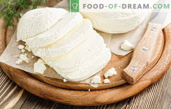 Adygei sūris namuose: skanus bet kokiu pavadinimu! Namų Adygei sūrio receptai