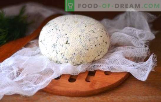 Kefyro sūris namuose - skanus, ekonomiškas, sveikas. Kaip gaminti įvairių rūšių sūrius iš kefyro namuose