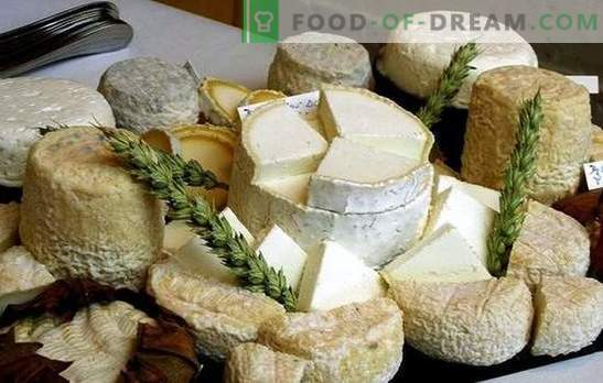 Kaip gaminti ožkos sūrį namuose: mažų įmonių idėjos, atsižvelgiant į sankcijas. Naminis ožkos sūris - geriau!
